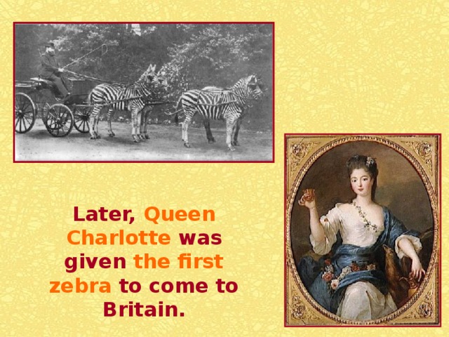 The animals lived in the Tower of London in a special place.   