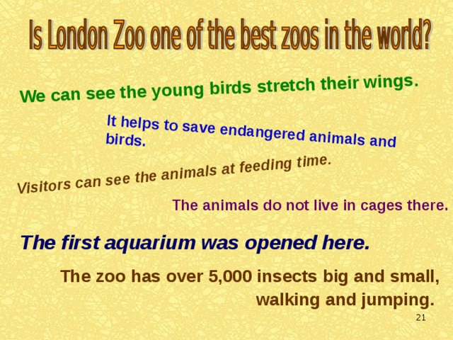 Later, Queen  Charlotte was given the first zebra to come to Britain.  