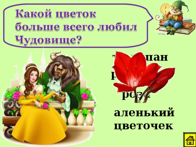 тюльпан ромашка роза аленький цветочек 