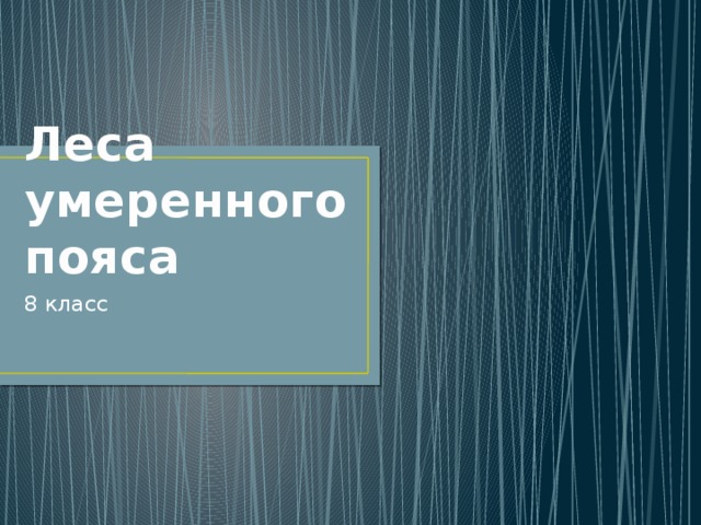 Леса умеренного пояса 8 класс 
