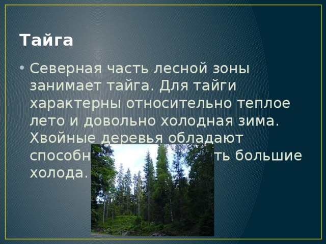 Тайга Северная часть лесной зоны занимает тайга. Для тайги характерны относительно теплое лето и довольно холодная зима. Хвойные деревья обладают способностью переносить большие холода. 