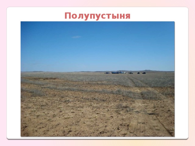Полупустыня 