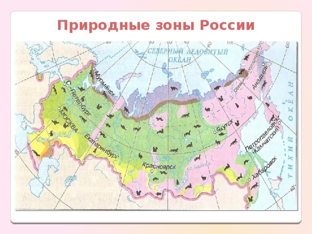 Природные зоны России 
