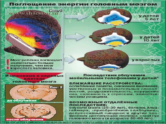 У детей, которые часто и подолгу пользуются мобильными телефонами, замедляются некоторые реакции со стороны высшей нервной деятельности Даже после одного небольшого разговора по сотовому повышается утомляемость и нарушается сон, также могут отмечаться зуд, жжение, резкие перепады давления и головная боль 17 17 17 
