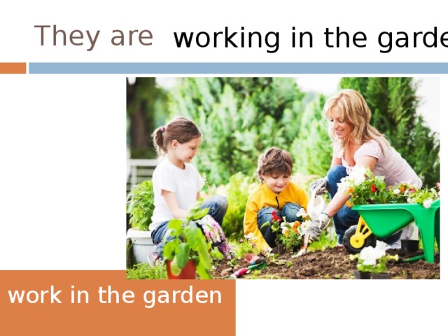 They are working in the garden work in the garden 