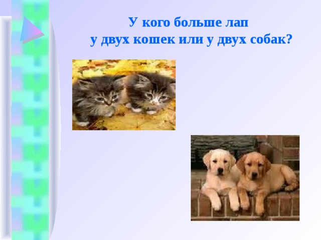           У кого больше лап  у двух кошек или у двух собак?            