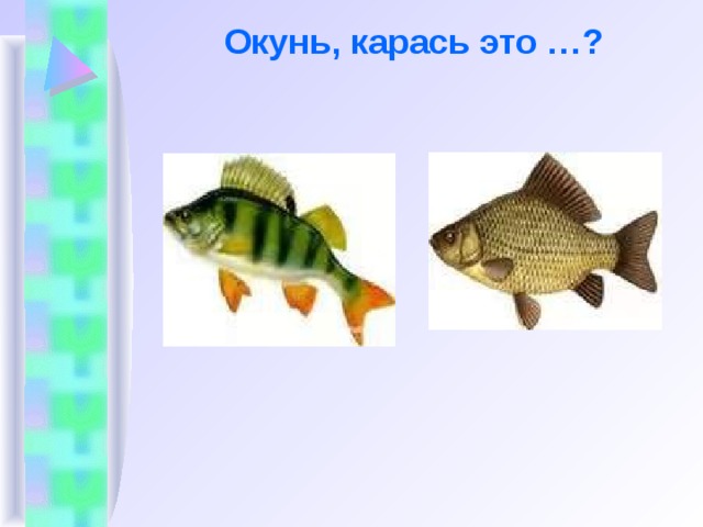 Окунь, карась это …?   