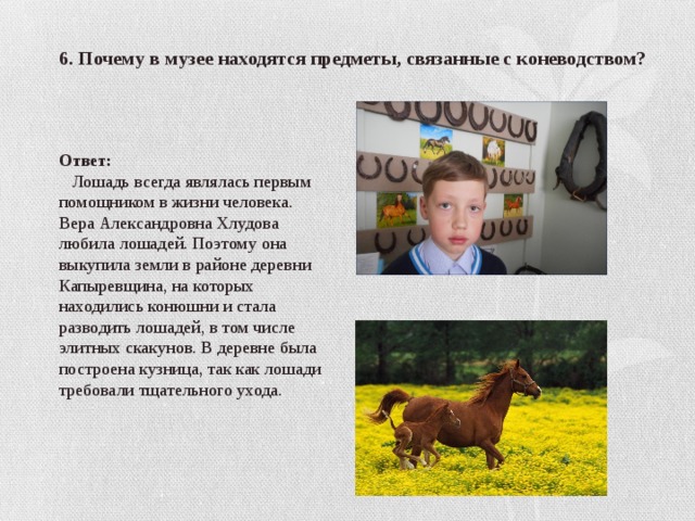 6. Почему в музее находятся предметы, связанные с коневодством? Ответ:  Лошадь всегда являлась первым помощником в жизни человека. Вера Александровна Хлудова любила лошадей. Поэтому она выкупила земли в районе деревни Капыревщина, на которых находились конюшни и стала разводить лошадей, в том числе элитных скакунов. В деревне была построена кузница, так как лошади требовали тщательного ухода. 