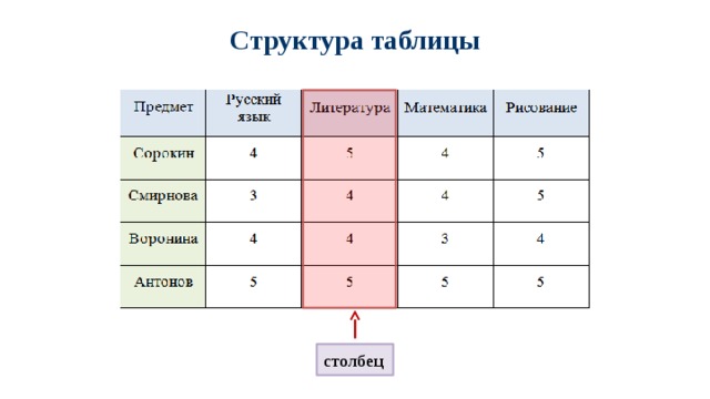 Структура таблицы столбец 