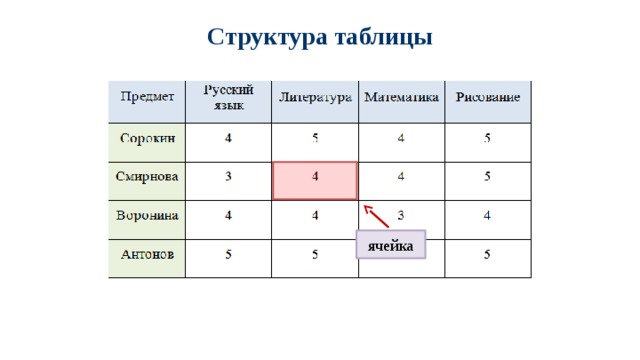 Структура таблицы ячейка 