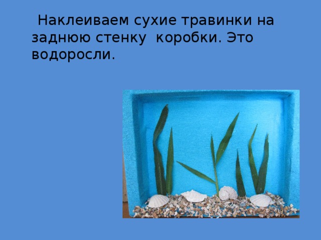  Наклеиваем сухие травинки на заднюю стенку коробки. Это водоросли. 