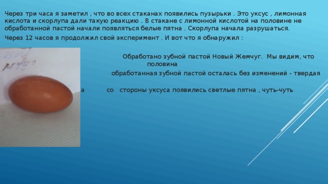Через три часа я заметил , что во всех стаканах появились пузырьки . Это уксус , лимонная кислота и скорлупа дали такую реакцию . В стакане с лимонной кислотой на половине не обработанной пастой начали появляться белые пятна . Скорлупа начала разрушаться. Через 12 часов я продолжил свой эксперимент . И вот что я обнаружил :  Обработано зубной пастой Новый Жемчуг. Мы видим, что половина  обработанная зубной пастой осталась без изменений - твердая , а  а со стороны уксуса появились светлые пятна , чуть-чуть обесцветилось. 