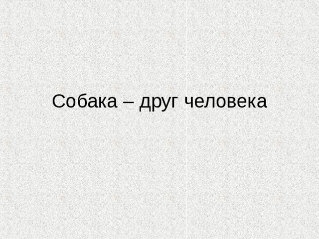 Собака – друг человека 