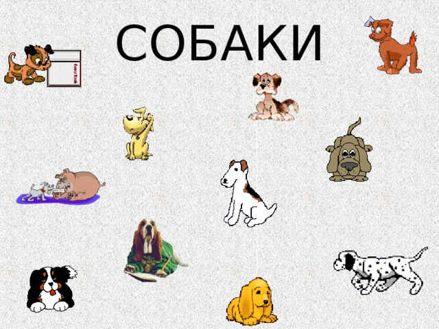 СОБАКИ 