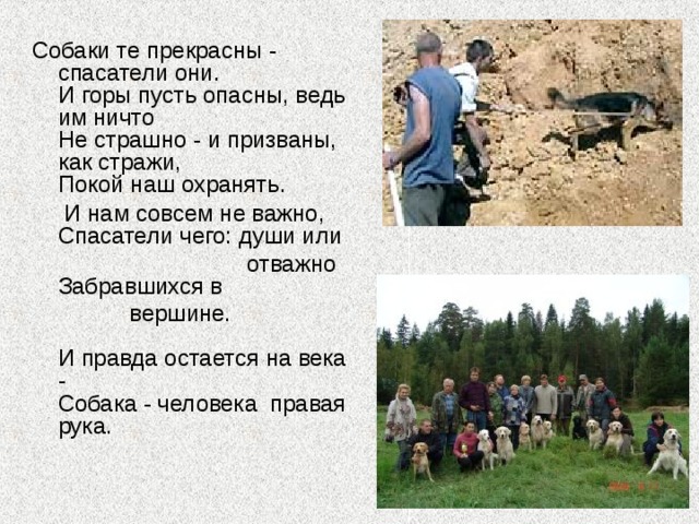 Собаки те прекрасны - спасатели они.      И горы пусть опасны, ведь им ничто  Не страшно - и призваны, как стражи,  Покой наш охранять.  И нам совсем не важно,    Спасатели чего: души или  отважно       Забравшихся в  вершине.                         И правда остается на века -                   Собака - человека  правая рука.  