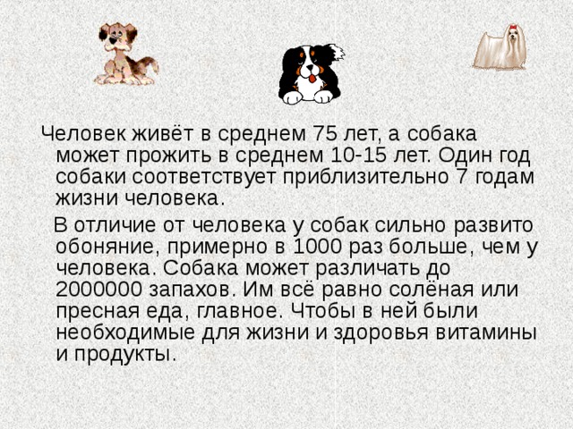  Человек живёт в среднем 75 лет, а собака может прожить в среднем 10-15 лет. Один год собаки соответствует приблизительно 7 годам жизни человека.  В отличие от человека у собак сильно развито обоняние, примерно в 1000 раз больше, чем у человека. Собака может различать до 2000000 запахов. Им всё равно солёная или пресная еда, главное. Чтобы в ней были необходимые для жизни и здоровья витамины и продукты. 