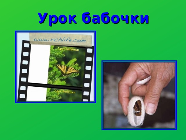 Урок бабочки 