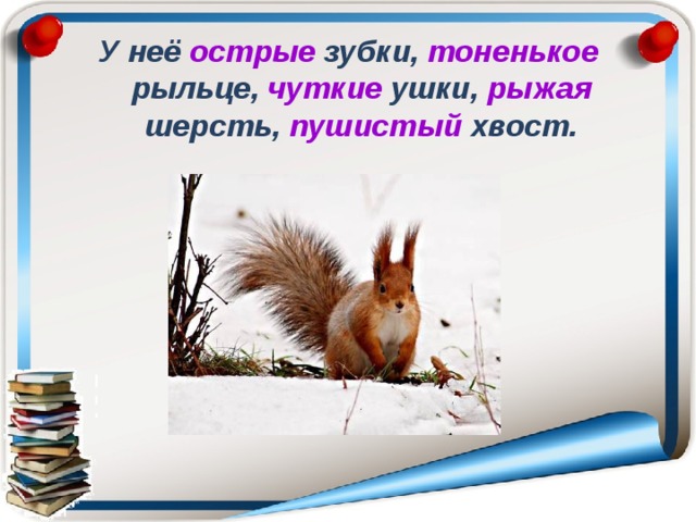 У неё острые  зубки,  тоненькое  рыльце,  чуткие  ушки,  рыжая  шерсть,  пушистый  хвост. 
