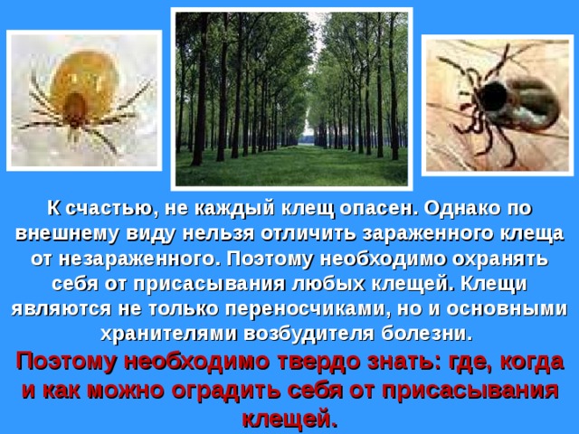 К счастью, не каждый клещ опасен. Однако по внешнему виду нельзя отличить зараженного клеща от незараженного. Поэтому необходимо охранять себя от присасывания любых клещей. Клещи являются не только переносчиками, но и основными хранителями возбудителя болезни. Поэтому необходимо твердо знать: где, когда и как можно оградить себя от присасывания клещей. 