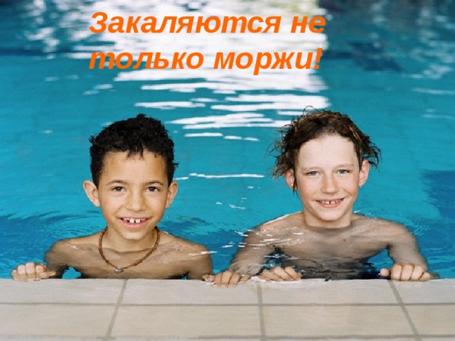 Закаляются не только моржи! 