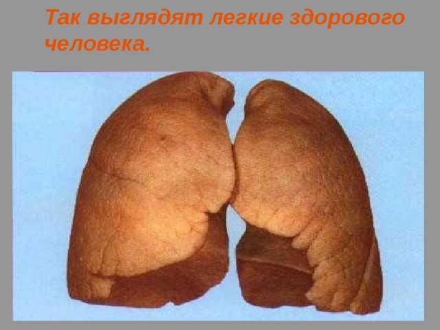 Так выглядят легкие здорового человека. 