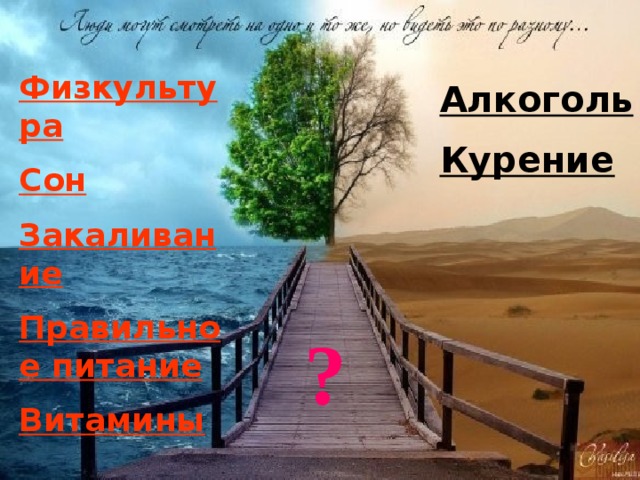 Физкультура Сон Закаливание Правильное питание Витамины Алкоголь Курение ? 