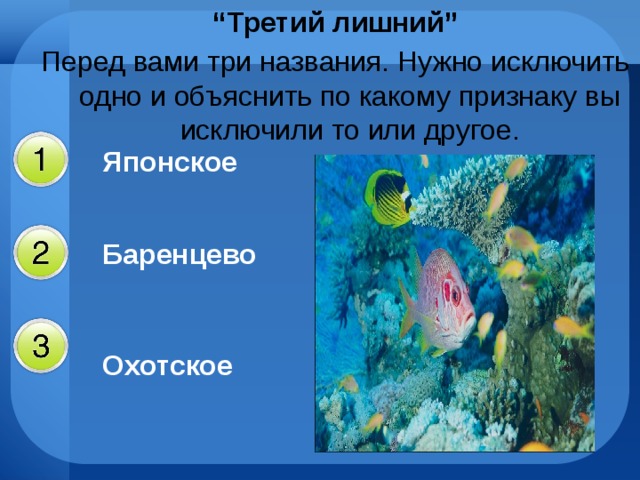 “ Третий лишний” Перед вами три названия. Нужно исключить одно и объяснить по какому признаку вы исключили то или другое. Японское  Баренцево Охотское 
