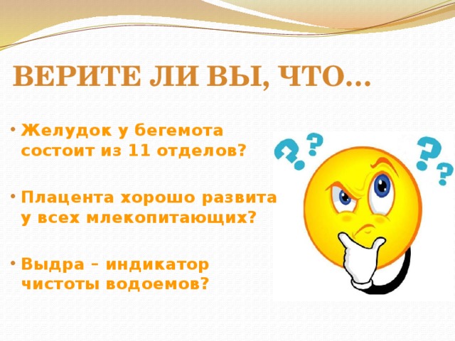Верите ли вы, что… Желудок у бегемота состоит из 11 отделов?  Плацента хорошо развита у всех млекопитающих?  Выдра – индикатор чистоты водоемов? 