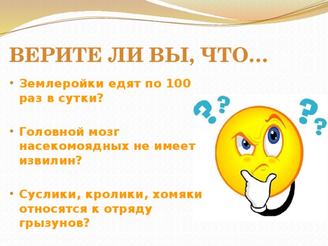 Верите ли вы, что… Землеройки едят по 100 раз в сутки?  Головной мозг насекомоядных не имеет извилин?  Суслики, кролики, хомяки относятся к отряду грызунов? 