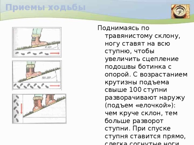 Приемы ходьбы Поднимаясь по травянистому склону, ногу ставят на всю ступню, чтобы увеличить сцепление подошвы ботинка с опорой. С возрастанием крутизны подъема свыше 100 ступни разворачивают наружу (подъем «елочкой»): чем круче склон, тем больше разворот ступни. При спуске ступня ставится прямо, слегка согнутые ноги пружинят. 