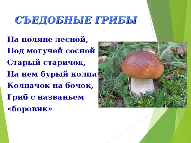 СЪЕДОБНЫЕ ГРИБЫ На поляне лесной, Под могучей сосной Старый старичок, На нем бурый колпачок Колпачок на бочок, Гриб с названьем «боровик» . 