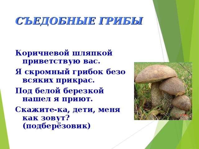 СЪЕДОБНЫЕ ГРИБЫ Коричневой шляпкой приветствую вас. Я скромный грибок безо всяких прикрас. Под белой березкой нашел я приют. Скажите-ка, дети, меня как зовут? (подберёзовик) 