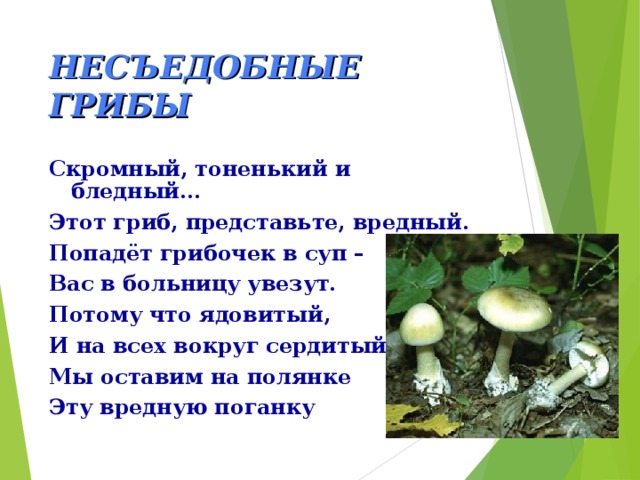 НЕСЪЕДОБНЫЕ ГРИБЫ Скромный, тоненький и бледный... Этот гриб, представьте, вредный. Попадёт грибочек в суп – Вас в больницу увезут. Потому что ядовитый, И на всех вокруг сердитый. Мы оставим на полянке Эту вредную поганку 
