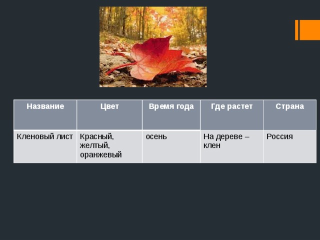 Название Цвет Кленовый лист Время года Красный, желтый, оранжевый Где растет осень  Страна На дереве – клен Россия 