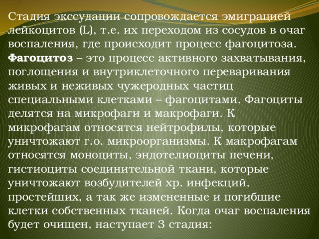 Стадия экссудации сопровождается эмиграцией лейкоцитов (L), т.е. их переходом из сосудов в очаг воспаления, где происходит процесс фагоцитоза. Фагоцитоз – это процесс активного захватывания, поглощения и внутриклеточного переваривания живых и неживых чужеродных частиц специальными клетками – фагоцитами. Фагоциты делятся на микрофаги и макрофаги. К микрофагам относятся нейтрофилы, которые уничтожают г.о. микроорганизмы. К макрофагам относятся моноциты, эндотелиоциты печени, гистиоциты соединительной ткани, которые уничтожают возбудителей хр. инфекций, простейших, а так же измененные и погибшие клетки собственных тканей. Когда очаг воспаления будет очищен, наступает 3 стадия:  