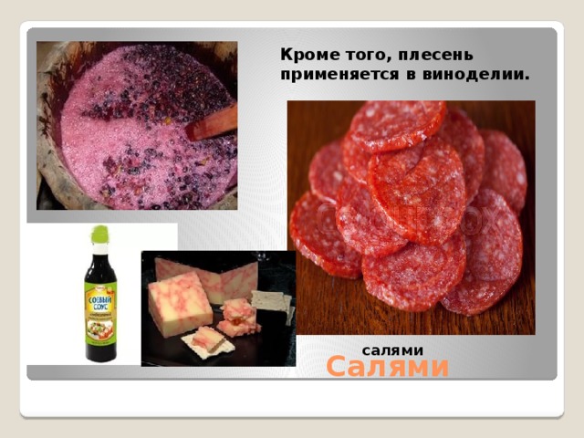 Кроме того, плесень применяется в виноделии. Соевый соус салями Салями 
