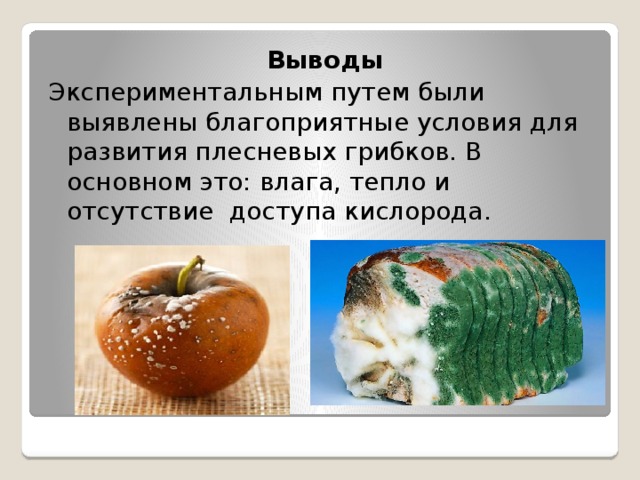 Выводы Экспериментальным путем были выявлены благоприятные условия для развития плесневых грибков. В основном это: влага, тепло и отсутствие доступа кислорода. 