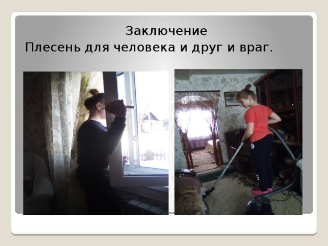 Заключение Плесень для человека и друг и враг.  