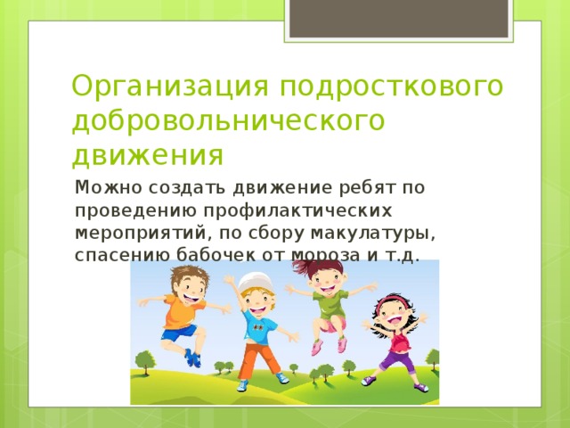 Организация подросткового добровольнического движения Можно создать движение ребят по проведению профилактических мероприятий, по сбору макулатуры, спасению бабочек от мороза и т.д. 
