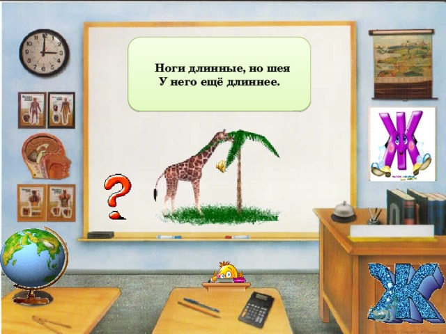  Ноги длинные, но шея У него ещё длиннее. 