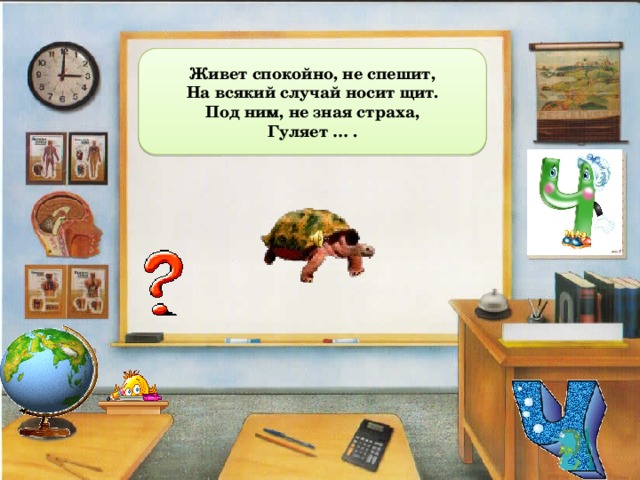 Живет спокойно, не спешит, На всякий случай носит щит. Под ним, не зная страха, Гуляет … . 