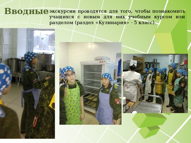Вводные экскурсии проводятся для того, чтобы познакомить учащихся с новым для них учебным курсом или разделом (раздел «Кулинария» - 5 класс).  