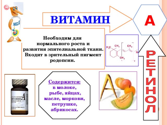 A ВИТАМИН  Необходим для нормального роста и развития эпителиальной ткани. Входит в зрительный пигмент родопсин. Содержится: в молоке,  рыбе, яйцах, масле, моркови, петрушке, абрикосах. 
