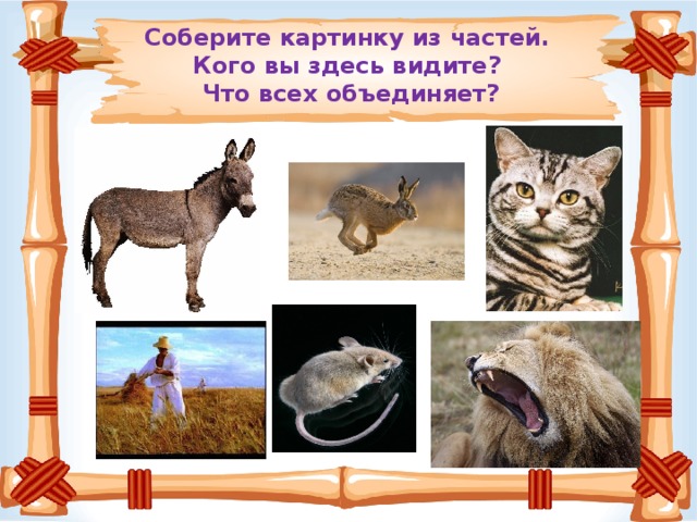 Соберите картинку из частей.  Кого вы здесь видите?  Что всех объединяет?