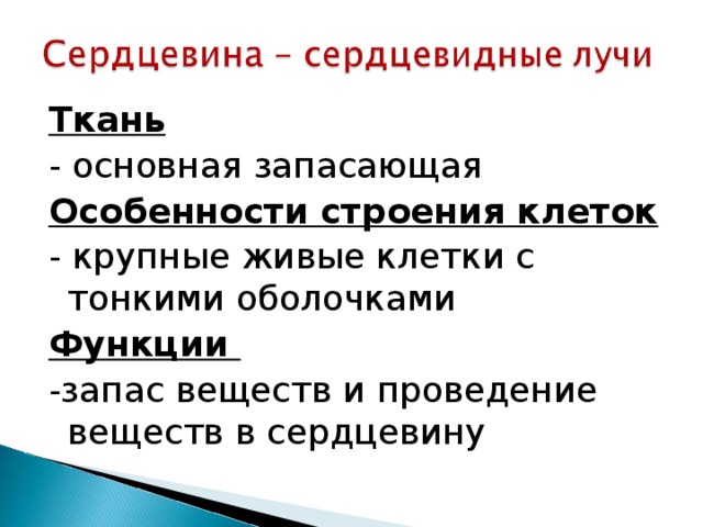 Ткань - основная запасающая Особенности строения клеток - крупные живые клетки с тонкими оболочками Функции -запас веществ и проведение веществ в сердцевину 