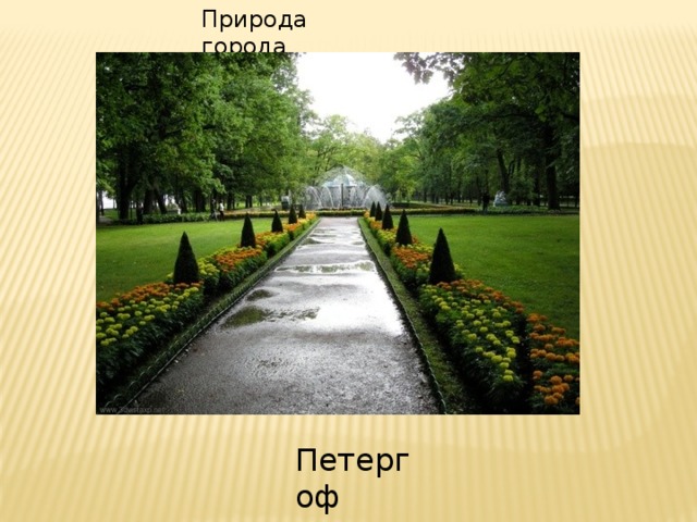Природа города . Петергоф 