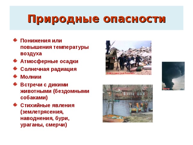 Природные опасности Понижения или повышения температуры воздуха Атмосферные осадки Солнечная радиация Молнии Встречи с дикими животными (бездомными собаками) Стихийные явления (землетрясения, наводнения, бури, ураганы, смерчи) 