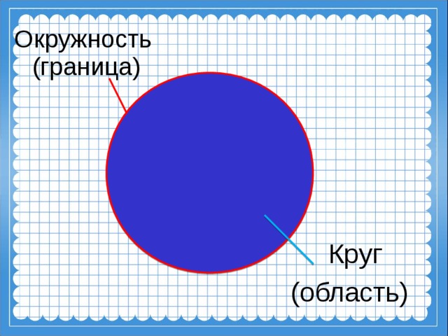 Окружность  (граница)  Круг (область) 5 