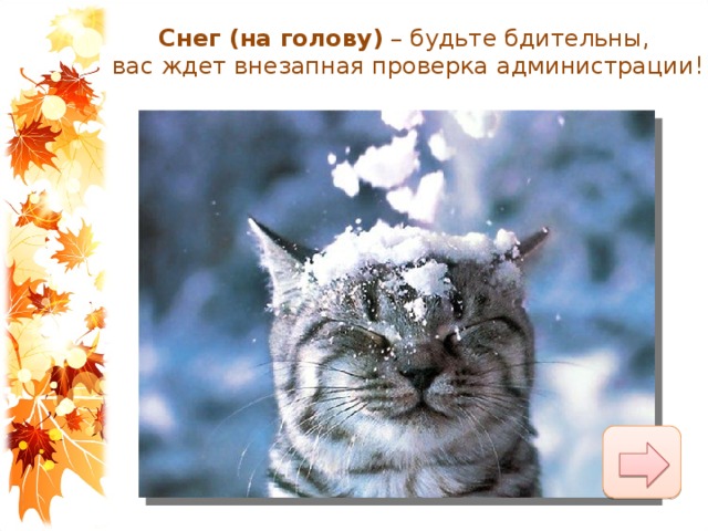 Снег (на голову)  – будьте бдительны, вас ждет внезапная проверка администрации! 