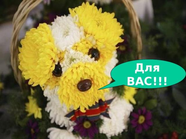 Для ВАС!!! 